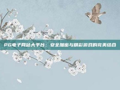 PG电子网站大平台：安全加密与精彩游戏的完美结合